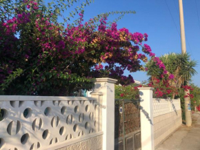 Casa vacanze “Bougainvillea”